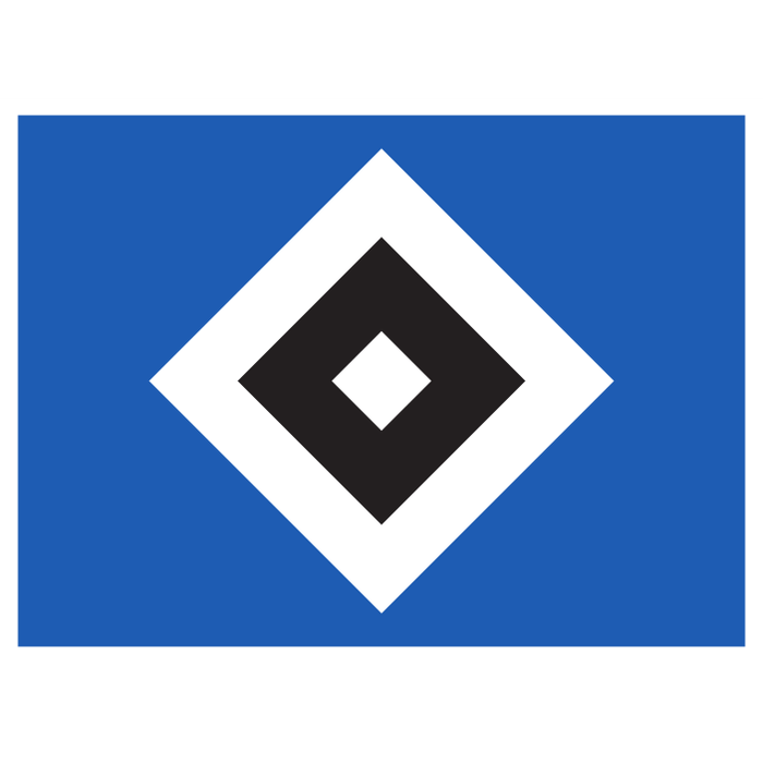 Hamburg team logo